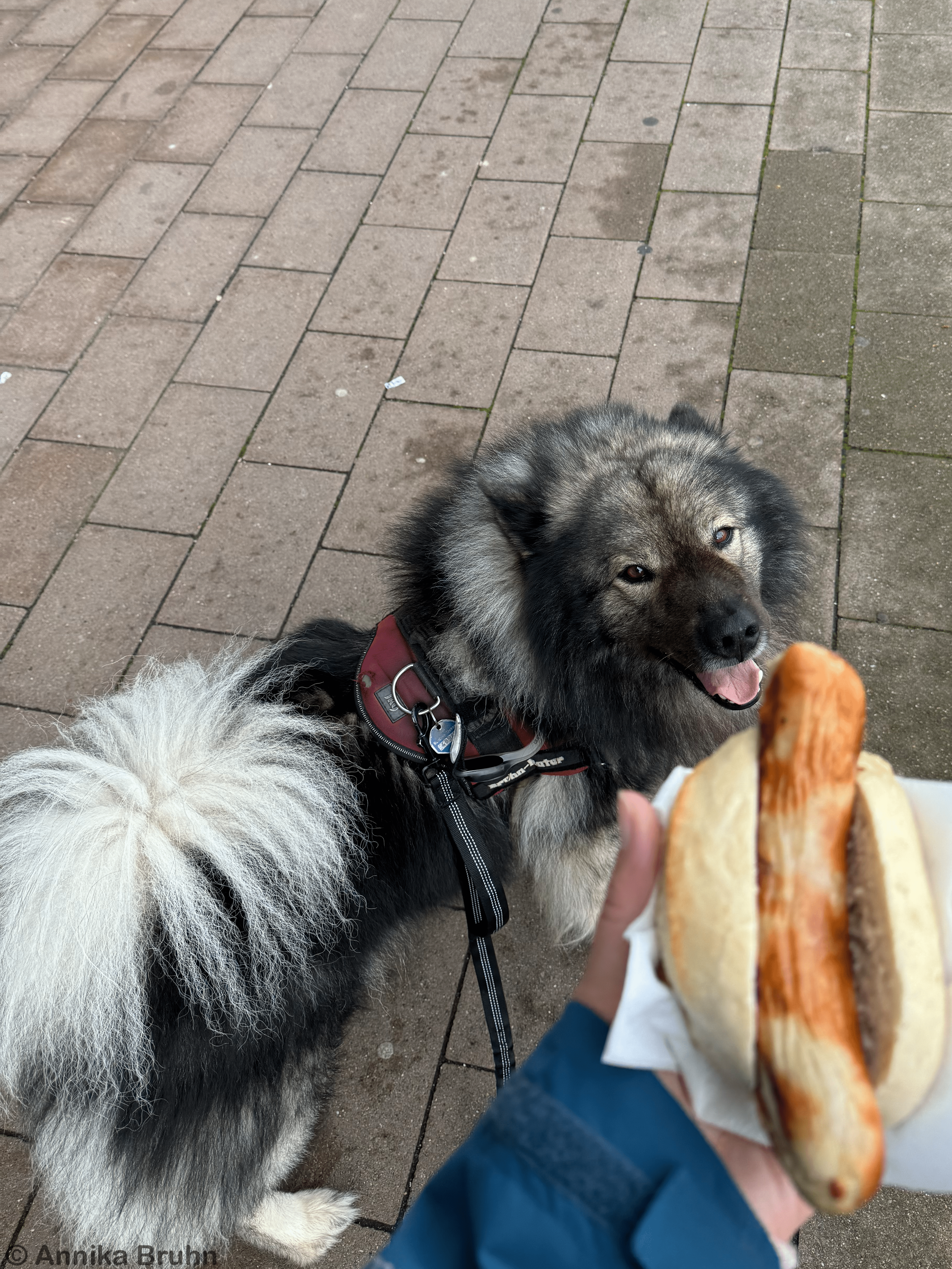 Mh lecker Würstchen